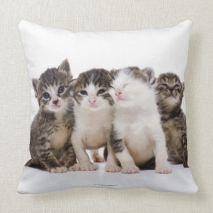 Cojín Decorativo Gato japonés