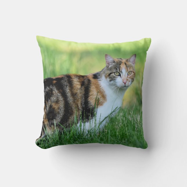 Cojín Decorativo Gato marrón y blanco (Anverso)