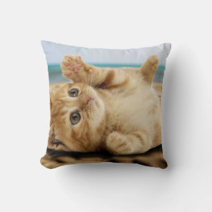 Cojín Decorativo gato Naranja tirado en la arena