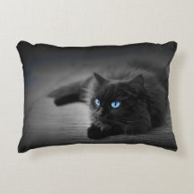 Gato Negro con Ojos Azules Impactantes – Acento Fe