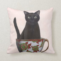 Gato negro en la televisión