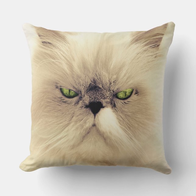 Cojín Decorativo Gato persa blanco con ojos verdes (Anverso)