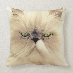Cojín Decorativo Gato persa blanco con ojos verdes
