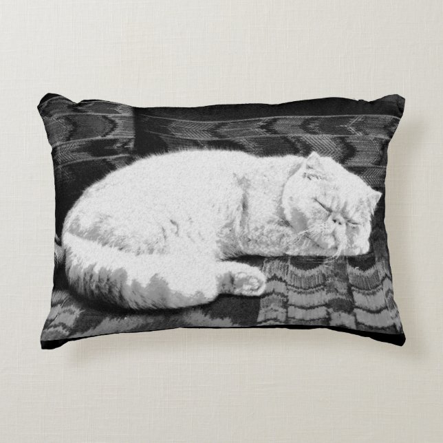 Cojín Decorativo Gato Persa Blanco Durmiendo (Anverso)