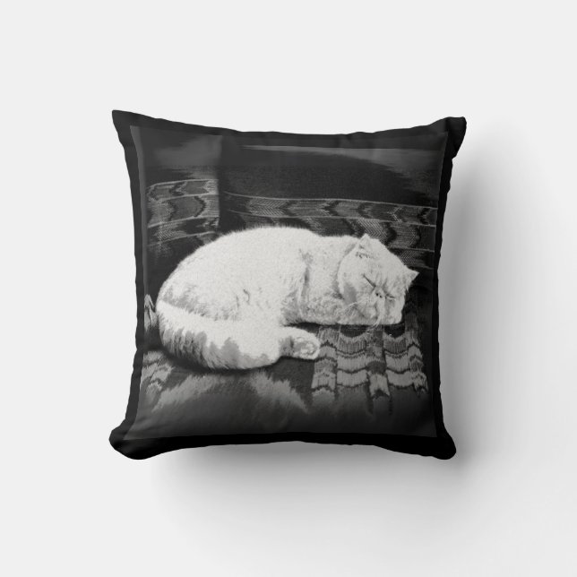 Cojín Decorativo Gato persa blanco durmiendo (Anverso)