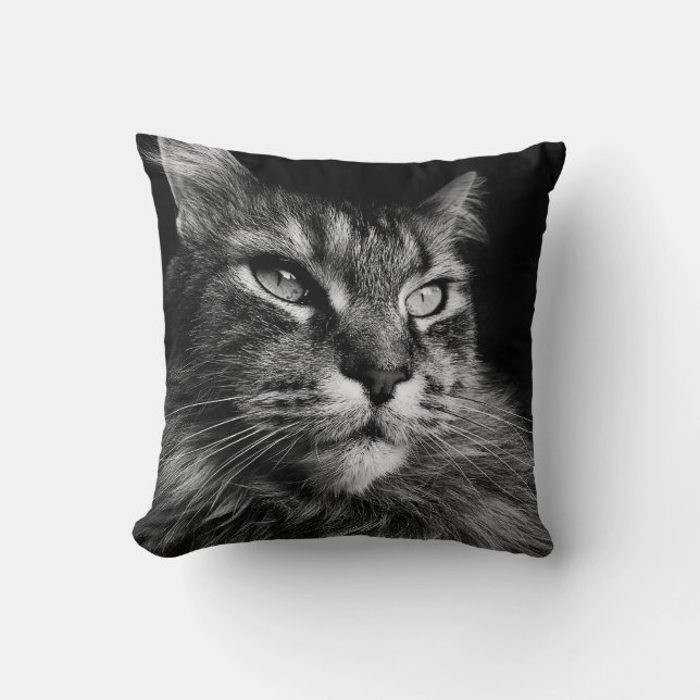 Cojín Decorativo Gato principal 16 x 16 (Anverso)