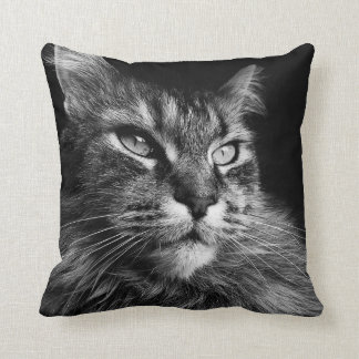 Cojín Decorativo Gato principal 16 x 16