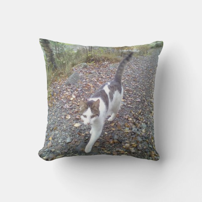 Cojín Decorativo Gato que camina (Anverso)