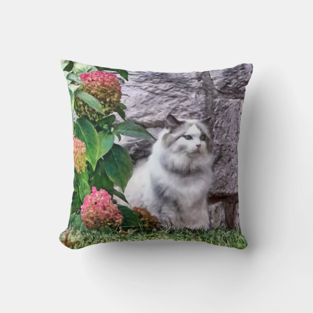 Cojín Decorativo Gato Ragdoll Por Hydrangea (Anverso)