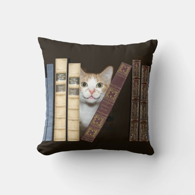 Cojín Decorativo Gato y libros (Anverso)