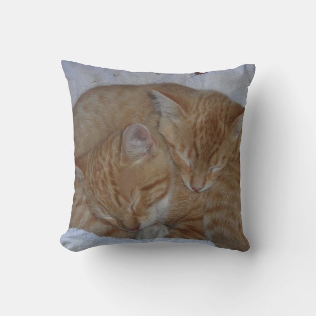 Cojín Decorativo Gatos con sueño (Anverso)