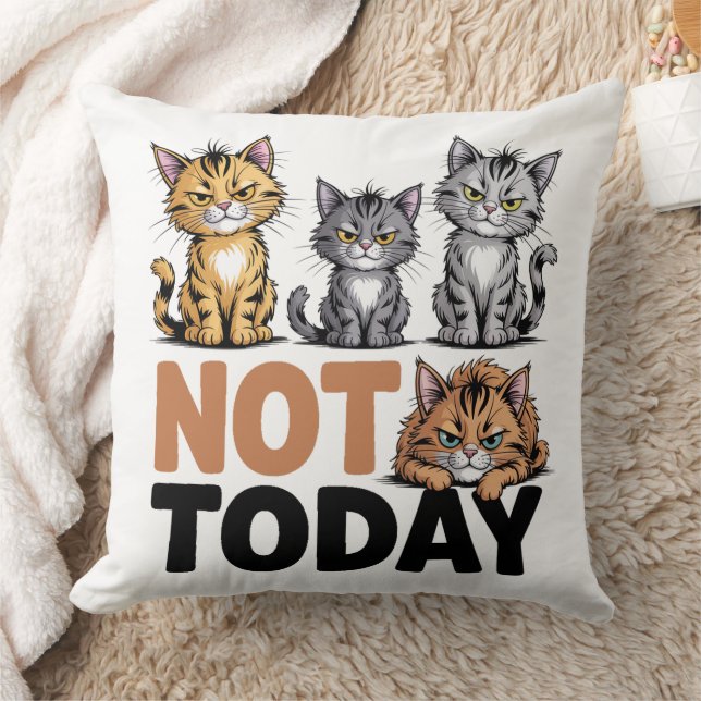 Cojín Decorativo Gatos No Hoy (Manta)