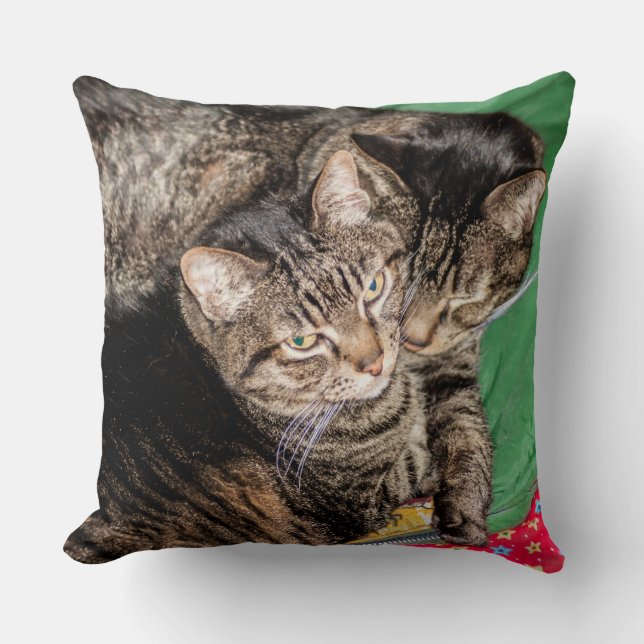 Cojín Decorativo Gatos - Todos los días - Vacaciones - Navidades (Anverso)
