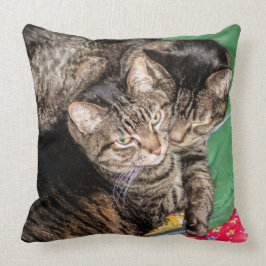 Cojín Decorativo Gatos - Todos los días - Vacaciones - Navidades