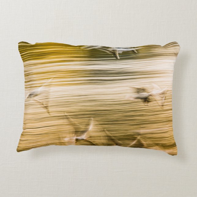 Cojín Decorativo Gaviotas voladoras - abstractas (Reverso)