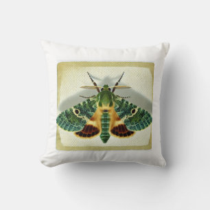 Cojín Decorativo gelechiid moth 220924IREF212 - Watercolor