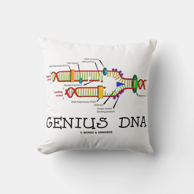 Cojín Decorativo Genius DNA Humor de biología molecular (Anverso)