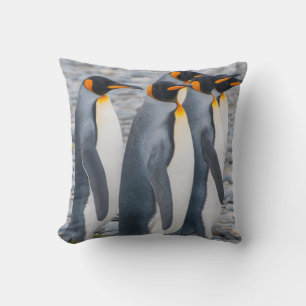 Cojín Decorativo Georgia del Sur. Pingüinos rey