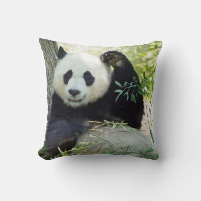 Cojín Decorativo Gigante Panda despotricando contra el árbol (Anverso)