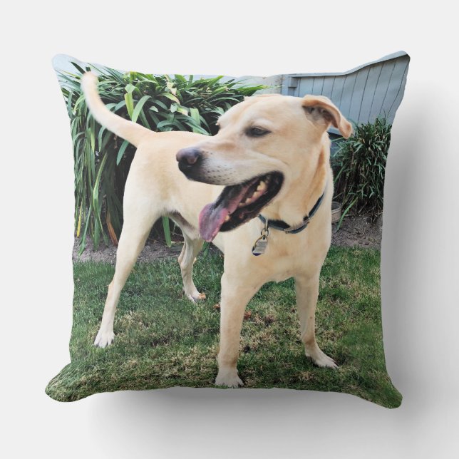 Cojín Decorativo Gindick - compinche - Labrador (Anverso)
