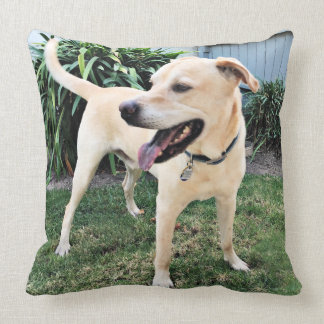 Cojín Decorativo Gindick - compinche - Labrador