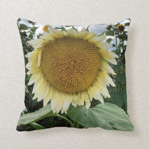 Cojín Decorativo Girasol blanco