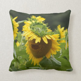 Cojín Decorativo Girasol en la lluvia