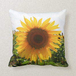 Cojín Decorativo Girasol italiano