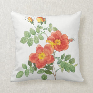 Cojín Decorativo Girly Naranja Rosa Floral Botánica
