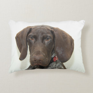 Cojín Decorativo Glossy Grizzly