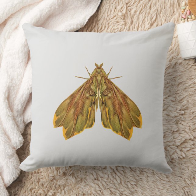 Cojín Decorativo Golden Forest Moth – Surreal Nature Form (Manta)