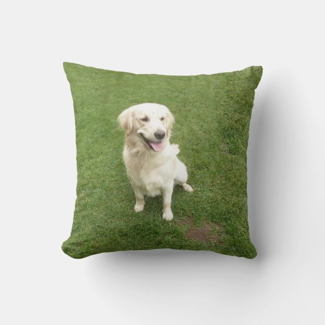 Cojín Decorativo Golden Retriever (Anverso)