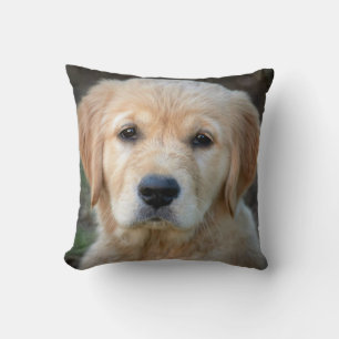 Cojín Decorativo Golden Retriever Puppy