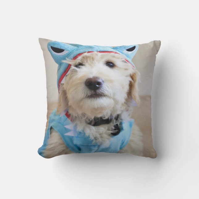 Cojín Decorativo Goldendoodle con traje de tiburón (Anverso)