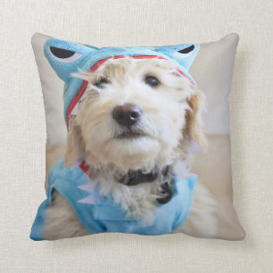 Cojín Decorativo Goldendoodle con traje de tiburón