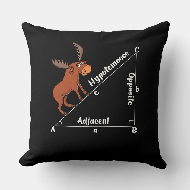 Cojín Decorativo Graciosa matemática Hipotemoose Geometría Moose Ch (Anverso)