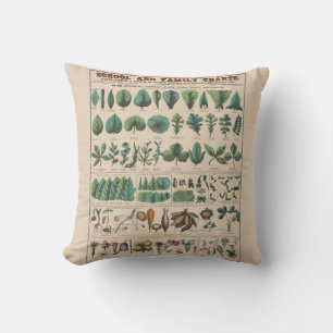 Cojín Decorativo Gráfico Antiguo de la Escuela Botánica Naturaleza