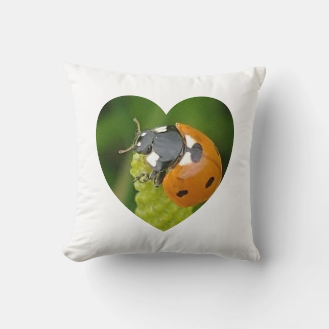 Cojín Decorativo Gran Buitre En El Corazón (Anverso)