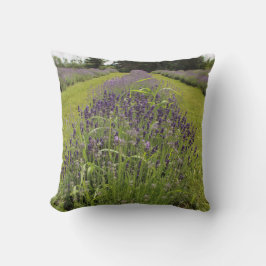 Cojín Decorativo Granja de lavanda de hidrocarburos