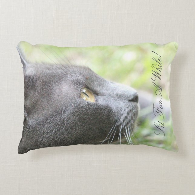 Cojín Decorativo Gray Kitty Cat (Anverso)