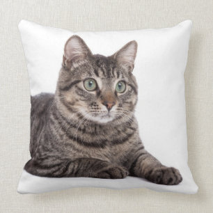 Cojín Decorativo Gray Tabby Cat