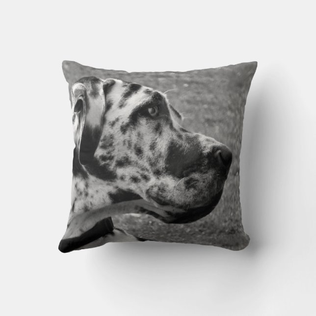 COJÍN DECORATIVO GREAT DANE (Reverso)
