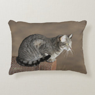 Cojín Decorativo Gris ahumado gato de tabulación