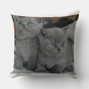 Cojín Decorativo Gris lindo del animal de mascota del gato del