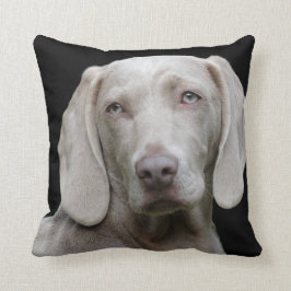 Cojín Decorativo Gris plateado de Weimaraner