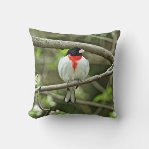 Cojín Decorativo Grosbeak con pecho Rosa - Pheucticus ludovicianus