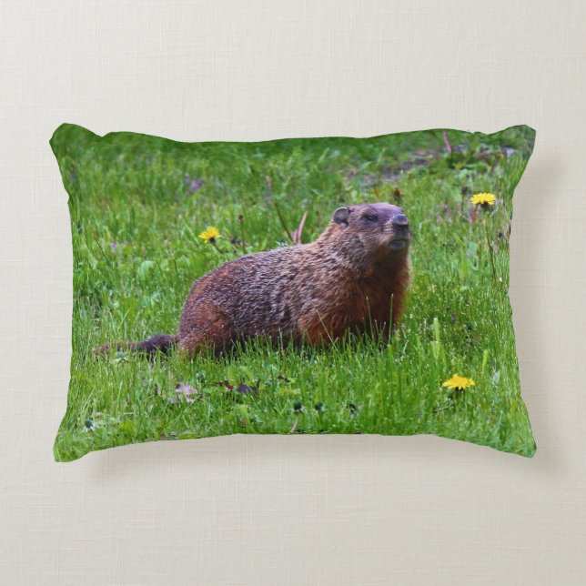 Cojín Decorativo Groundhog (Anverso)