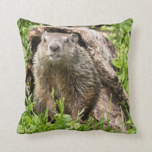 Cojín Decorativo Groundhog en un registro hueco