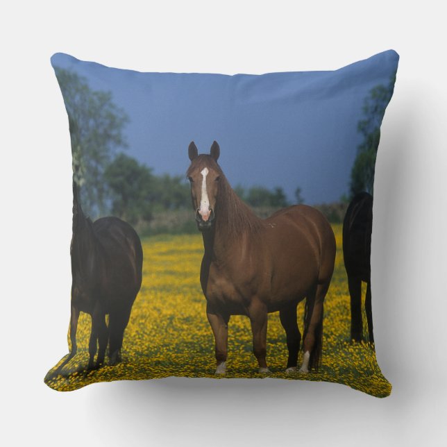 Cojín Decorativo Grupo de caballos excelentes (Anverso)