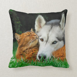 Cojín Decorativo Grupo lindo gato y de los amigos somalíes del